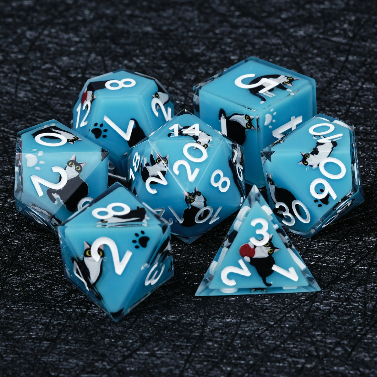 Black Cat Resin DND Dice Set