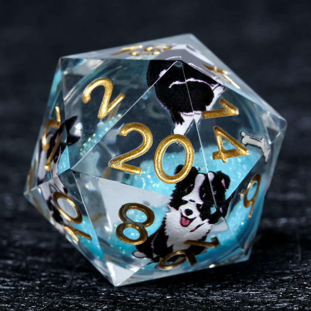 Border Collie Liquid Core Dice Set – Gold Numbers – alternate product view