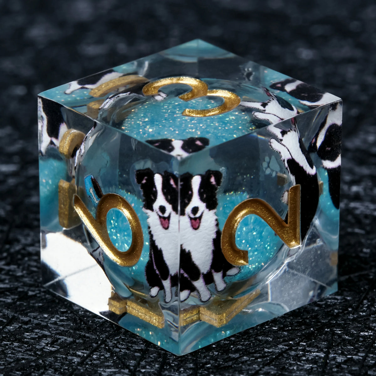 Border Collie Liquid Core Dice Set – Gold Numbers – alternate product view