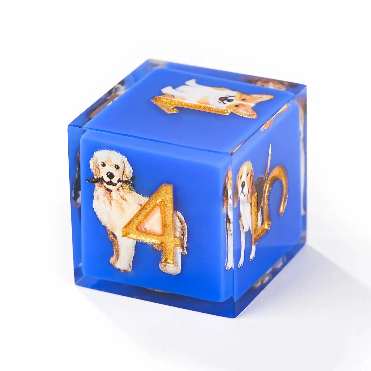 Dog Resin DND Dice Set – Gold Numbers – Colorful blue transparent resin cute dog pattern dice set + gold font