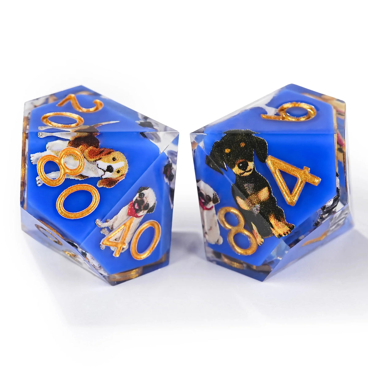Dog Resin DND Dice Set – Gold Numbers – Colorful blue transparent resin cute dog pattern dice set + gold font