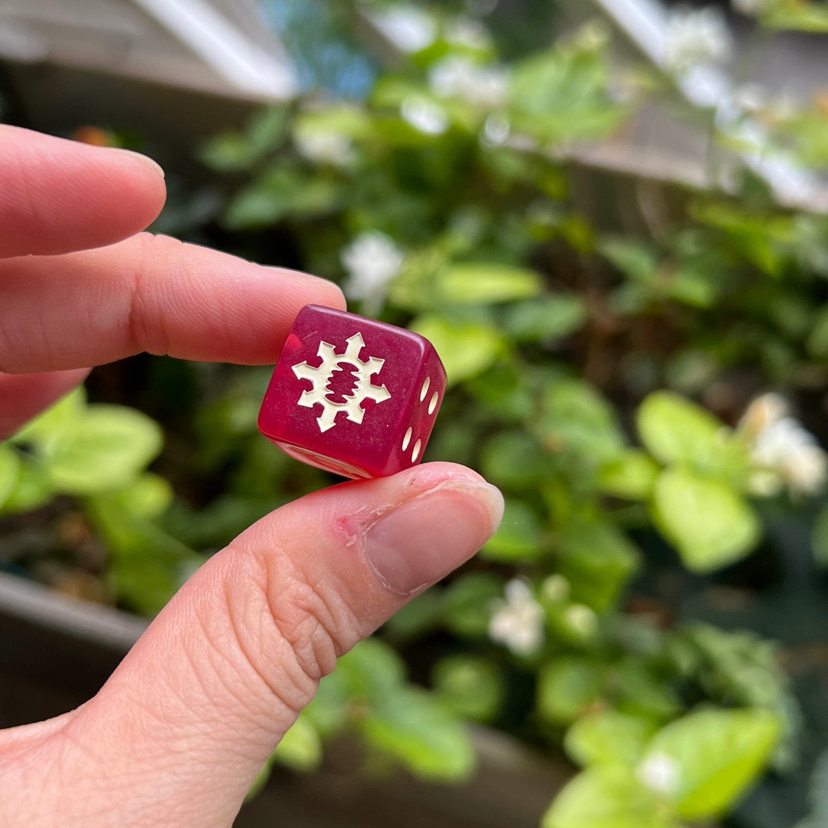 Resin RPG Dice Set – World Swallower – alternate product view