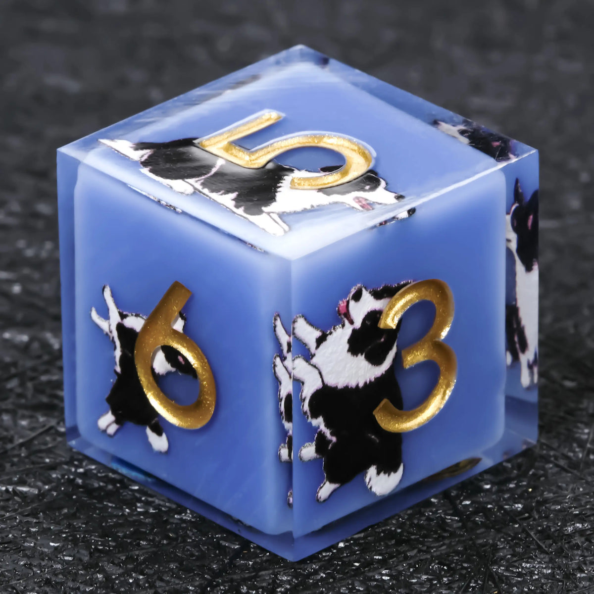 Star Resin DND Dice Set – Border Collie – Kickstarter Dice – Sharp-Edged Blue Resin Border Collie DND D6 Dice with Gold