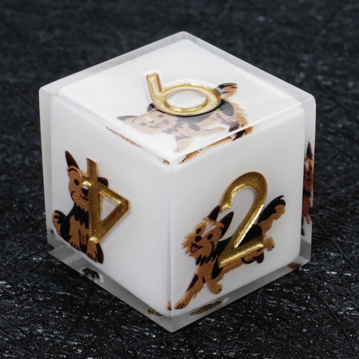 Star Resin DND Dice Set – Legends Yorkie – Kickstarter Dice – Sharp-Edged White Resin Yorkshire DND D6 Dice with Gold