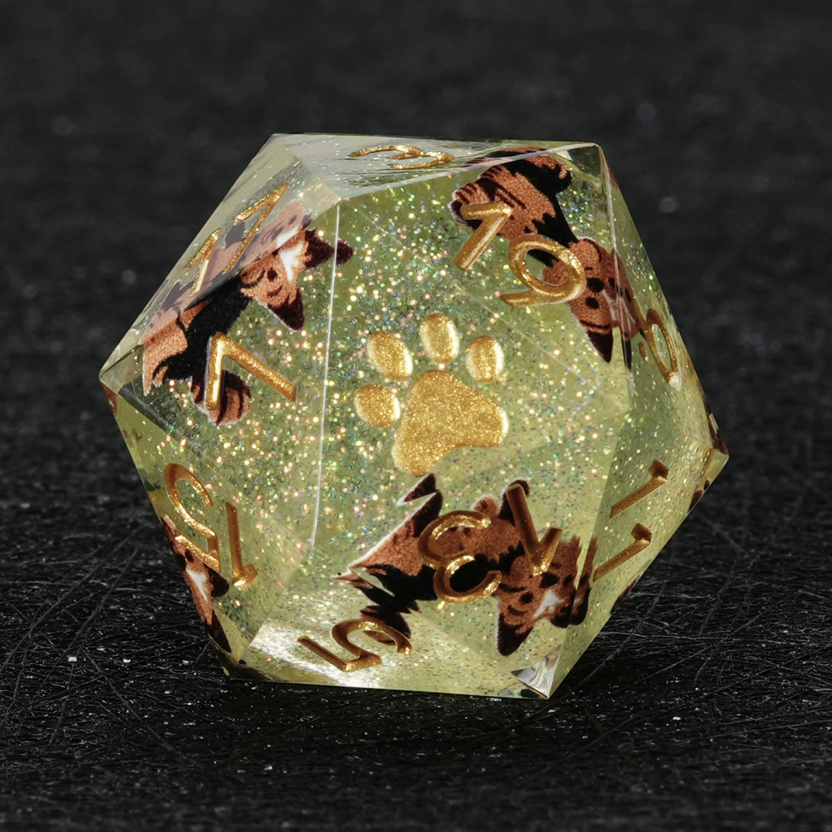 Yorkshire Terrier Resin D20 Dice Set – Glitter – alternate product view